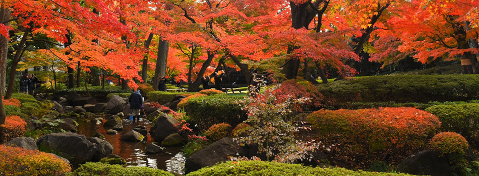 大田黒公園