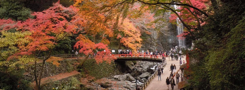 関西の秋ハイキング